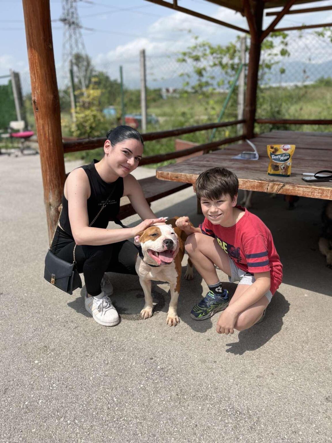 441223813_478331398042316_7651769627678665970_n