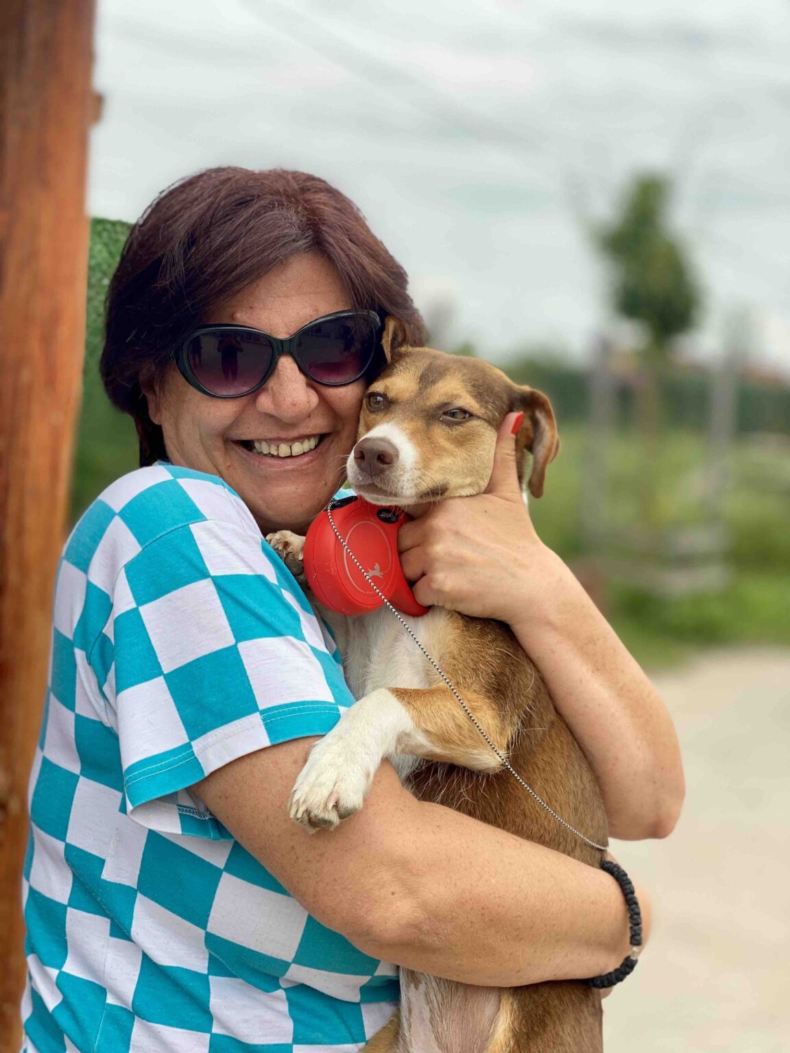 447257334_483772017498254_3381645883449094998_n