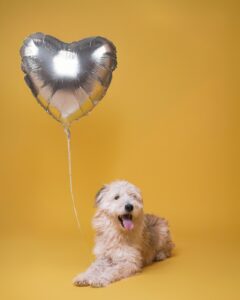 529948731_794700679738718_2951388895975027677_n