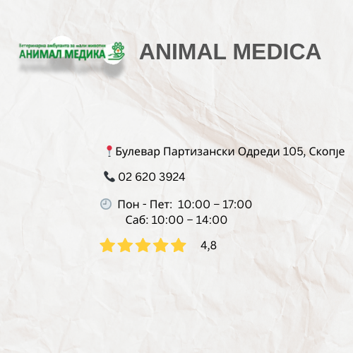 viber_image_2025-09-22_15-23-54-892