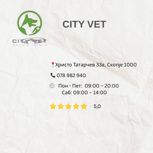 viber_image_2025-09-22_15-23-55-633