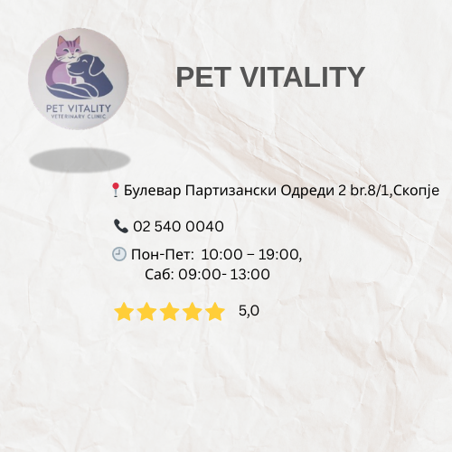 viber_image_2025-09-22_15-23-56-249